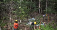 Conservation takes a village: Traveling group visits Belmont for second year of invasive species removal