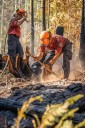 Wildfire that forced hundreds to flee on Vancouver Island now under control