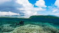 The Week Unwrapped: Why are we watching the ocean floor?