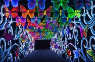 Don't miss it! Popular Asian Lantern Festival extended at Cleveland Zoo