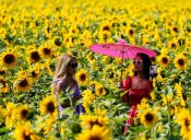 Warmest August bank holiday Monday ever for Wales and Northern Ireland