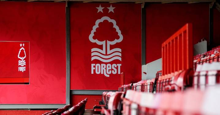 Nottingham Forest, an £80m loan and what it means for the future