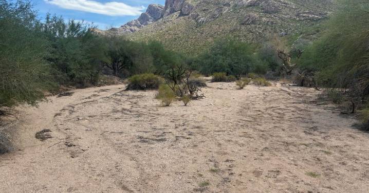 One woman dies, another injured on Oro Valley hiking trail