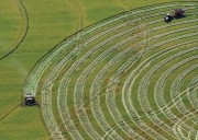Arkansas farmers face steepest rice price drop in decades