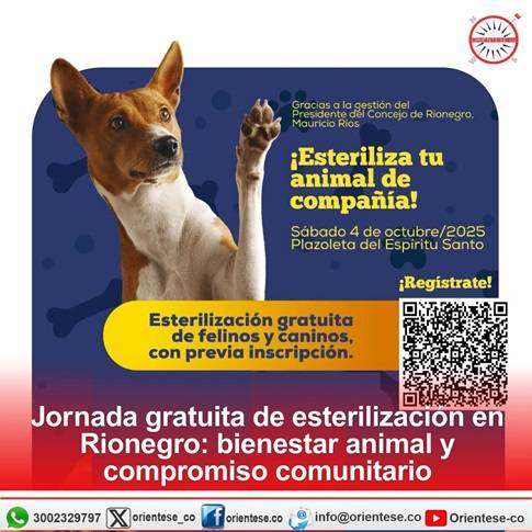 Jornada gratuita de esterilización en Rionegro: bienestar animal y compromiso comunitario