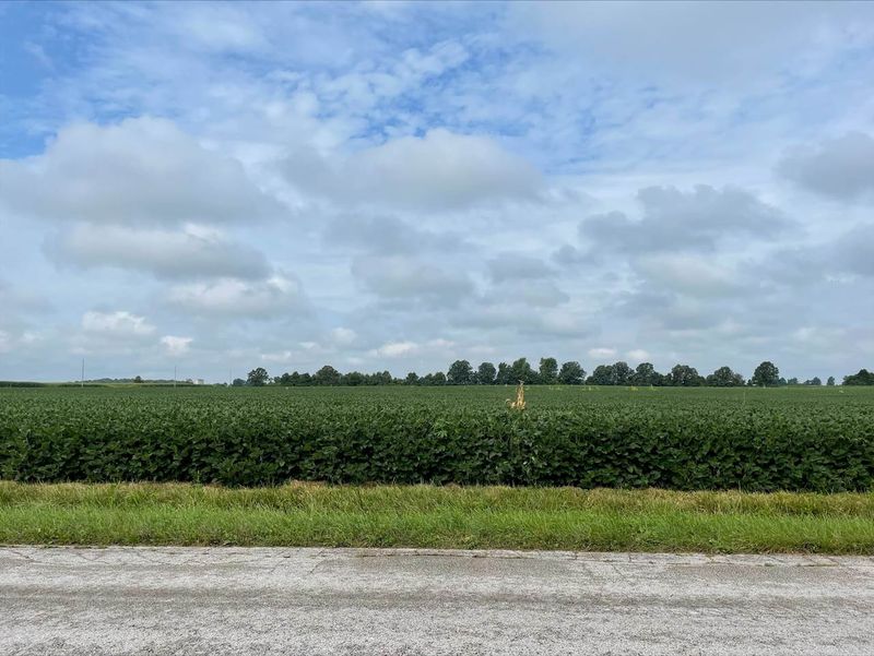 Trump hopes China will quickly quadruple its US soybean orders