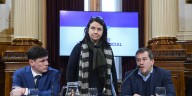 Polémica por los dichos de una senadora: “No creo que los niños argentinos tengan derecho a venir al Garraham a ser curados”