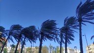 Alerta: vientos de hasta 60 km/h en el litoral mediterráneo andaluz
