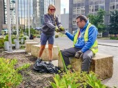 Toledo's flower beds flourish thanks to workers from Bittersweet Farms