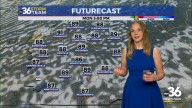 The late summer rinse and repeat cycle continues
