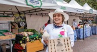 Mercados campesinos llegan a Bogotá: los ciudadanos pueden disfrutar de alimentos de calidad y propuestas sostenibles