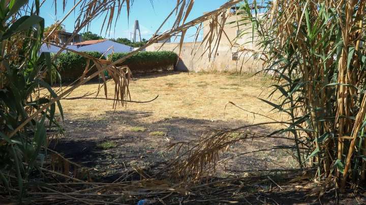 Vecinos de Las Moreras alertan del riesgo de incendio por la falta de desbroce