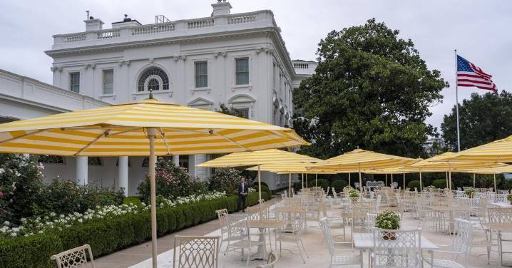 Trump transforma el Rose Garden de la Casa Blanca con piedra blanca y sombrillas amarillas