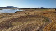 Desastre ecológico en Cáceres: Vacían un embalse para erradicar una especie invasora y causan un daño "aún mayor"