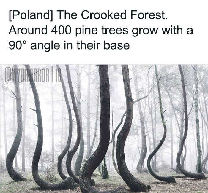 20 Creepy Real-World Facts And Pics That Are More Disturbing Than Most Horror Movies
