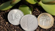 Dónde hay que poner monedas en agosto de 2025 para atraer más dinero, según el Feng Shui