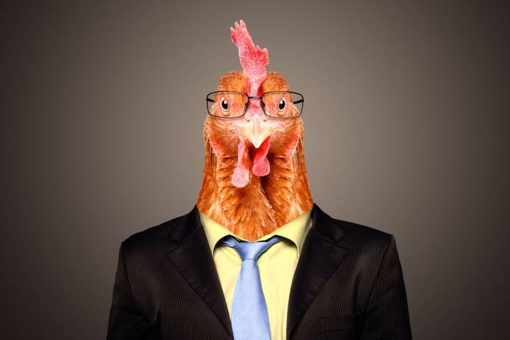 El Pollo Loco: Is This QSR The Next Asset-Light Turnaround? (NASDAQ:LOCO)