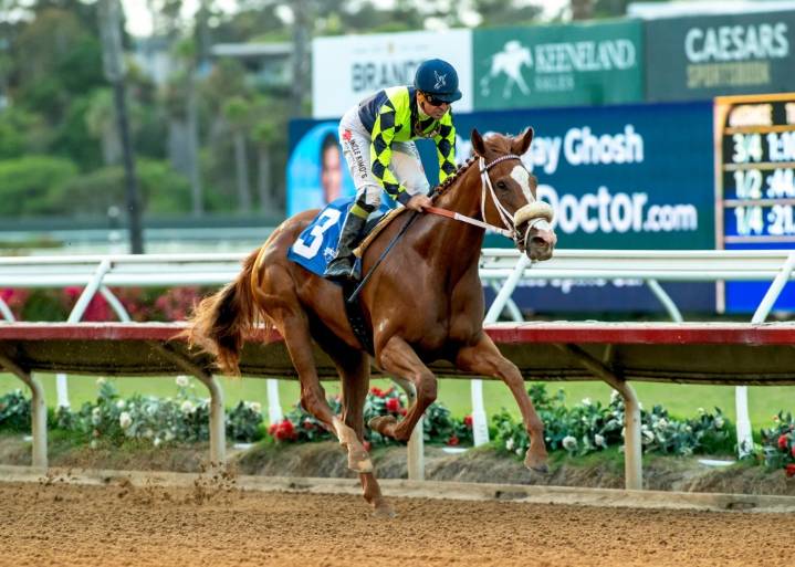 Northern California's collapse may be good for Del Mar, but it hurts horse racing