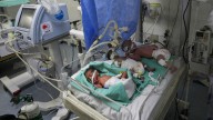 Newborns share incubator at Gaza hospital overwhelmed by famine