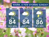 Fall, is that you? Triangle temps in the 80s with chance of storms later in the weekend