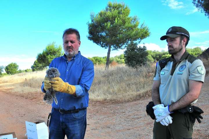 Agentes de Medio Ambiente realizan 156 inspecciones a afecciones de fauna silvestre en 2024