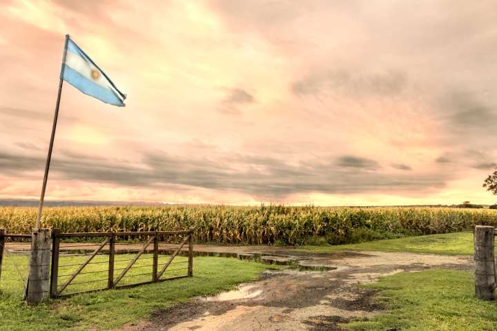 Cresud: Excellent Real Estate Business And A Positive Outlook (NASDAQ:CRESY)