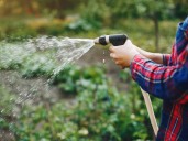 Preparate para el verano: este es el mejor horario para regar tus plantas en los meses más calurosos