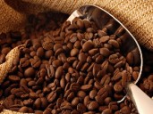 Exportación de café genera ingresos por 30 millones de dólares anuales