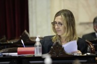 Marín agradeció a los legisladores que “no se vistieron de violeta para aparecer como teletubies de violeta”
