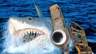 Shark Eyes Prop From 'Jaws' Rolling Up for Sale at Auction
