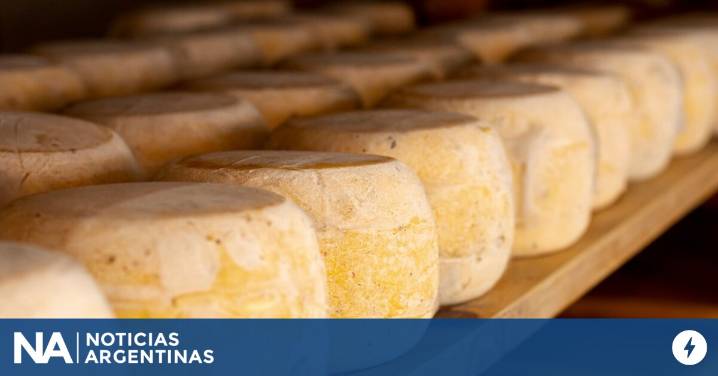 Brote de listeriosis por un queso: qué es, cuáles son los síntomas y cómo prevenir el contagio