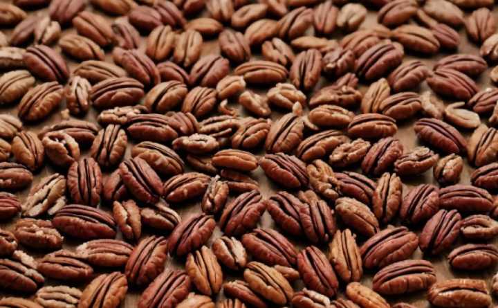 Mantiene Chihuahua liderazgo nacional en producción de nuez pecana
