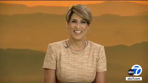 Leslie Sykes announces plans to retire after more than 30 years at ABC7
