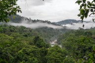 Perú se une a una nueva red regional para impulsar el mercado de carbono