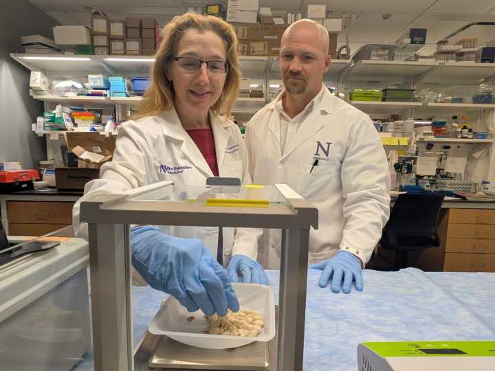 Testan con éxito en ratones una nueva vía para la alergia alimentaria: un fármaco del asma