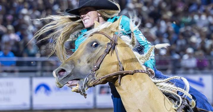 GALLERY: Cache County Fair and Rodeo