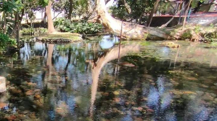 11 ejidatarios repartirán agua del manantial de El Almeal
