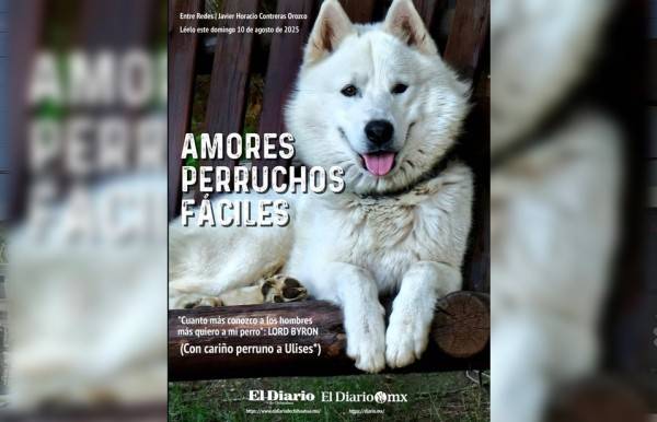 Entre redes: Amores perruchos fáciles