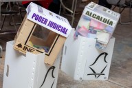 ¿Son necesarios los institutos electorales?