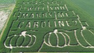 Grove City farmer plants corn field to propose to girlfriend