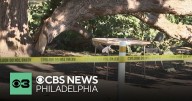 4 men injured after part of tree crashes down in Philadelphia's Fairmount Park