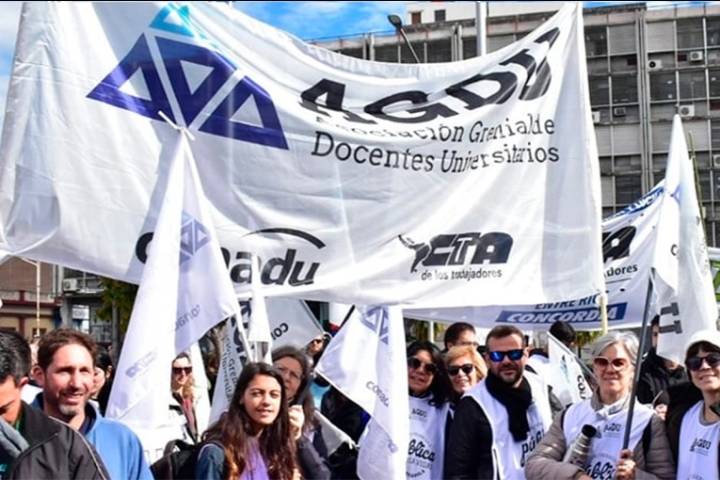 Docentes universitarios entrerrianos harán paros rotativos: el detalle de las fechas