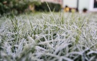 Weather Frost Advisory signals chilly start to Labor Day Weekend in Michigan