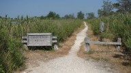 Southampton museum says town took parts of Conscience Point