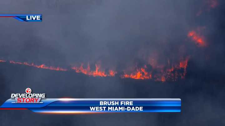 Crews battle grass fire in West Miami