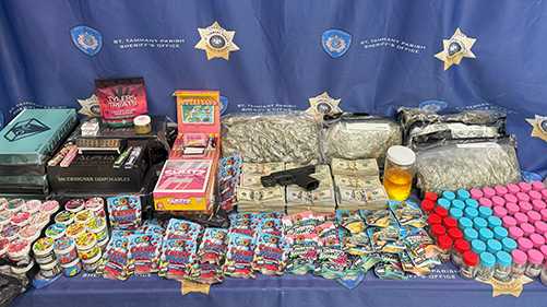 Mandeville man arrested, drugs found inside car with sibling inside, according to sheriff