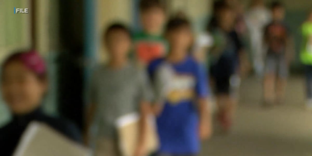 Overcrowding in Maui classrooms forces redistricting plan
