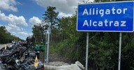 Judge orders temporary halt to construction at Florida’s ‘Alligator Alcatraz’ detention center