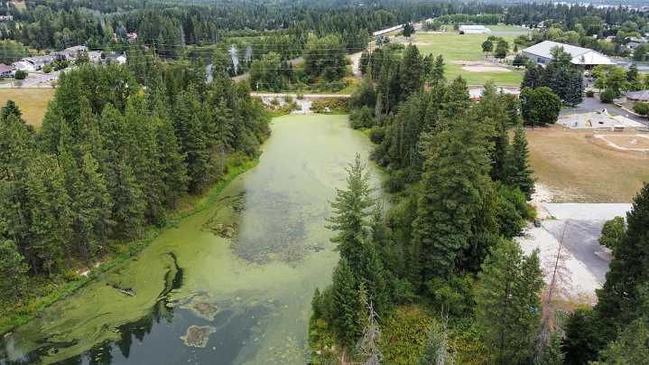Idaho health officials warn of cyanobacteria in advisory for Chuck Slough