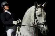 Una modificación genética fue clave para que los caballos fueran aptos para la monta